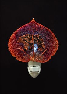 Real Leaf Nightlight | Bear Nightlight