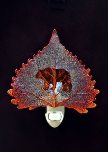 Real Leaf Nightlight | Bear Nightlight