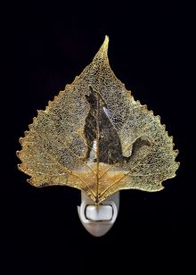 Real Leaf Nightlight | Coyote Nightlight