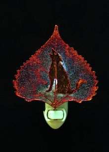 Real Leaf Nightlight | Coyote Nightlight