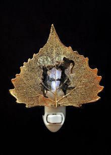 Real Leaf Nightlight | Sweet Kisses Nightlight