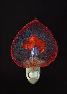 Real Leaf Nightlight | Buffalo Nightlight