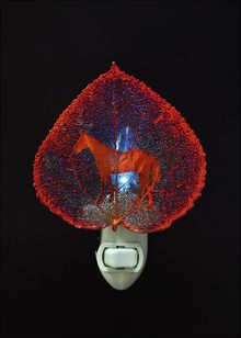 Real Leaf Nightlight | Western Horse Nightlight