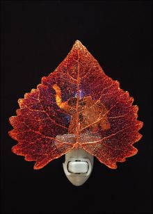 Real Leaf Nightlight | Elephant Nightlight