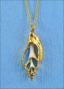 Real Shell Jewelry | Shell Pendant