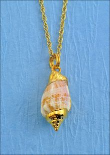 Real Shell Jewelry | Shell Pendant