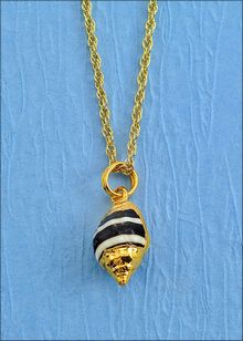 Real Shell Jewelry | Shell Pendant