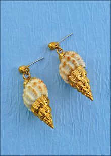 Real Shell Jewelry | Shell Earrings