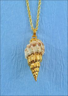 Real Shell Jewelry | Shell Pendant