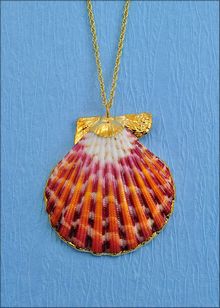 Real Shell Jewelry | Shell Pendant