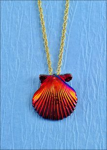 Real Shell Jewelry | Shell Pendant