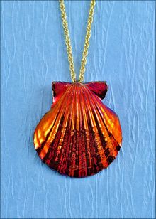 Real Shell Jewelry | Shell Pendant