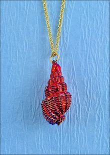 Real Shell Jewelry | Shell Pendant