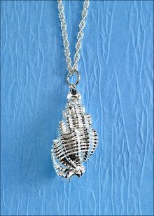 Real Shell Jewelry | Shell Pendant