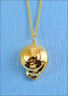 Real Shell Jewelry | Shell Pendant