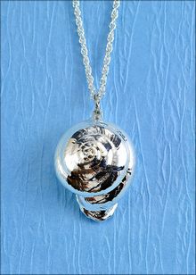 Real Shell Jewelry | Shell Pendant