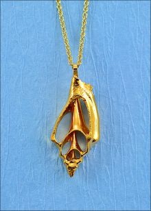 Real Shell Jewelry | Shell Pendant