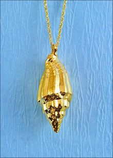 Real Shell Jewelry | Shell Pendant