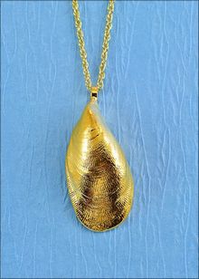 Real Shell Jewelry | Shell Pendant