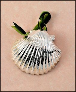 Real Shell Ornament | Pectin Shell Ornament