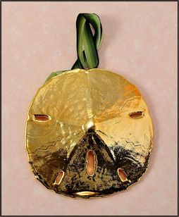 Real Shell Ornament | Sand Dollar Ornament