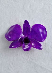 Real Orchid Jewelry | Orchid Pin