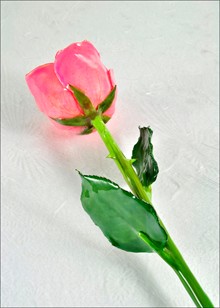 Natural Rose | Preserved Rose