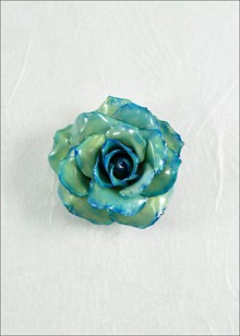 Rose Pin | Real Rose Brooch