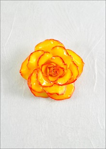 Rose Pin | Real Rose Brooch