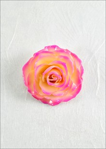 Rose Pin | Real Rose Brooch