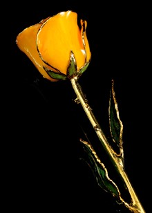 Gold Rose | Gold Trimmed Rose | Yellow Rose | Gold Dipped Rose