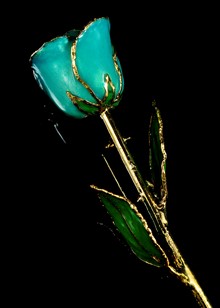 Gold Rose | Gold Trimmed Rose | Aqua Green Rose | Gold Dipped Rose