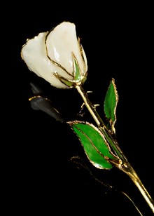 Birthstone Rose | Opal Rose | Gold Trimmed Rose | Gold Rose