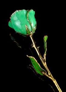 Birthstone Rose | Emerald Rose | Gold Trimmed Rose | Gold Rose