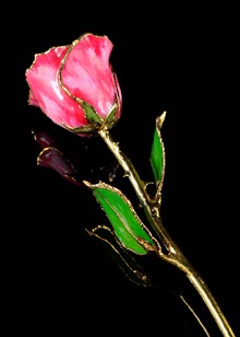 Birthstone Rose | Ruby Rose | Gold Trimmed Rose | Gold Rose