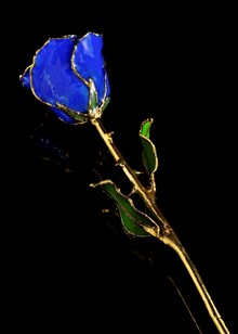 Birthstone Rose | Sapphire Rose | Gold Trimmed Rose | Gold Rose