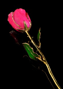 Birthstone Rose | Tourmaline Rose | Gold Trimmed Rose | Gold Rose