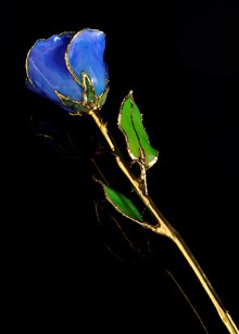 Birthstone Rose | Tanzanite Rose | Gold Trimmed Rose | Gold Rose