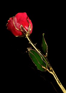 Sparkle Rose | Red Rose| Gold Rose | Red Sparkle Rose
