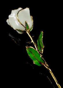 Sparkle Rose |White Diamond Rose| Gold Rose | White Diamond Sparkle Rose