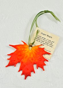 Real Leaf Ornaments | Sugar Maple Ornament