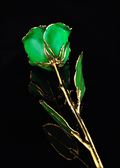 Gold Trimmed Rose in Green