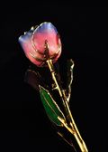 Gold Trimmed Rose in Pink/Navy Blue