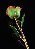 Gold Trimmed Rose in Peridot Orange