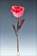 Copper Trimmed Rose in Dusty Rose