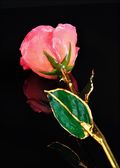 Natural Pink Rose w/Gold Stem