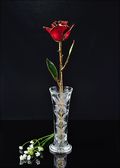 Gold Trimmed Burgundy Rose with Bud Vase