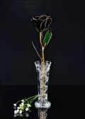 Gold Trimmed Rose in Black with Bud Vase