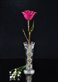 Gold Trimmed Fuchsia Rose with Bud Vase