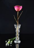 Gold Trimmed Pink/Picasso Rose with Bud Vase